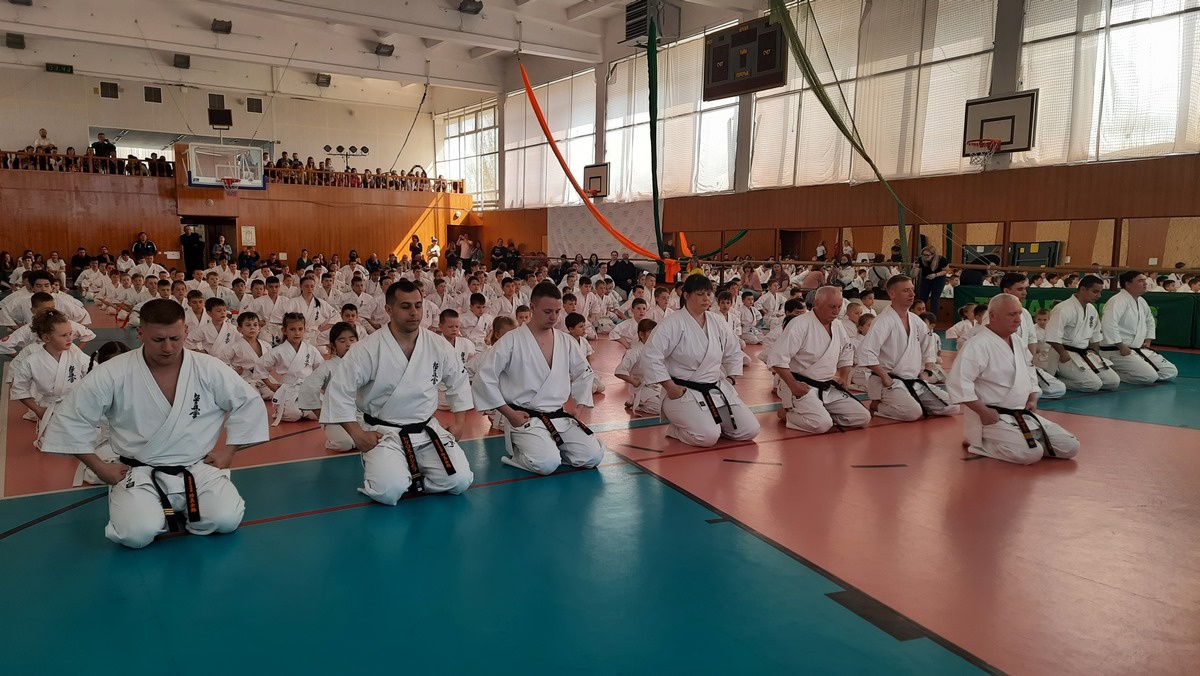 Аттестационный семинар (КЮ-Тест)