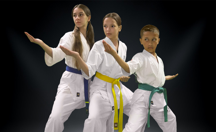 Подготовка к соревнованиям по каратэ киокушинкай